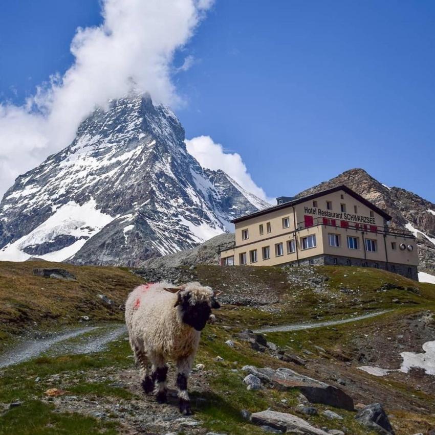 Hotel Schwarzsee Цермат Екстериор снимка